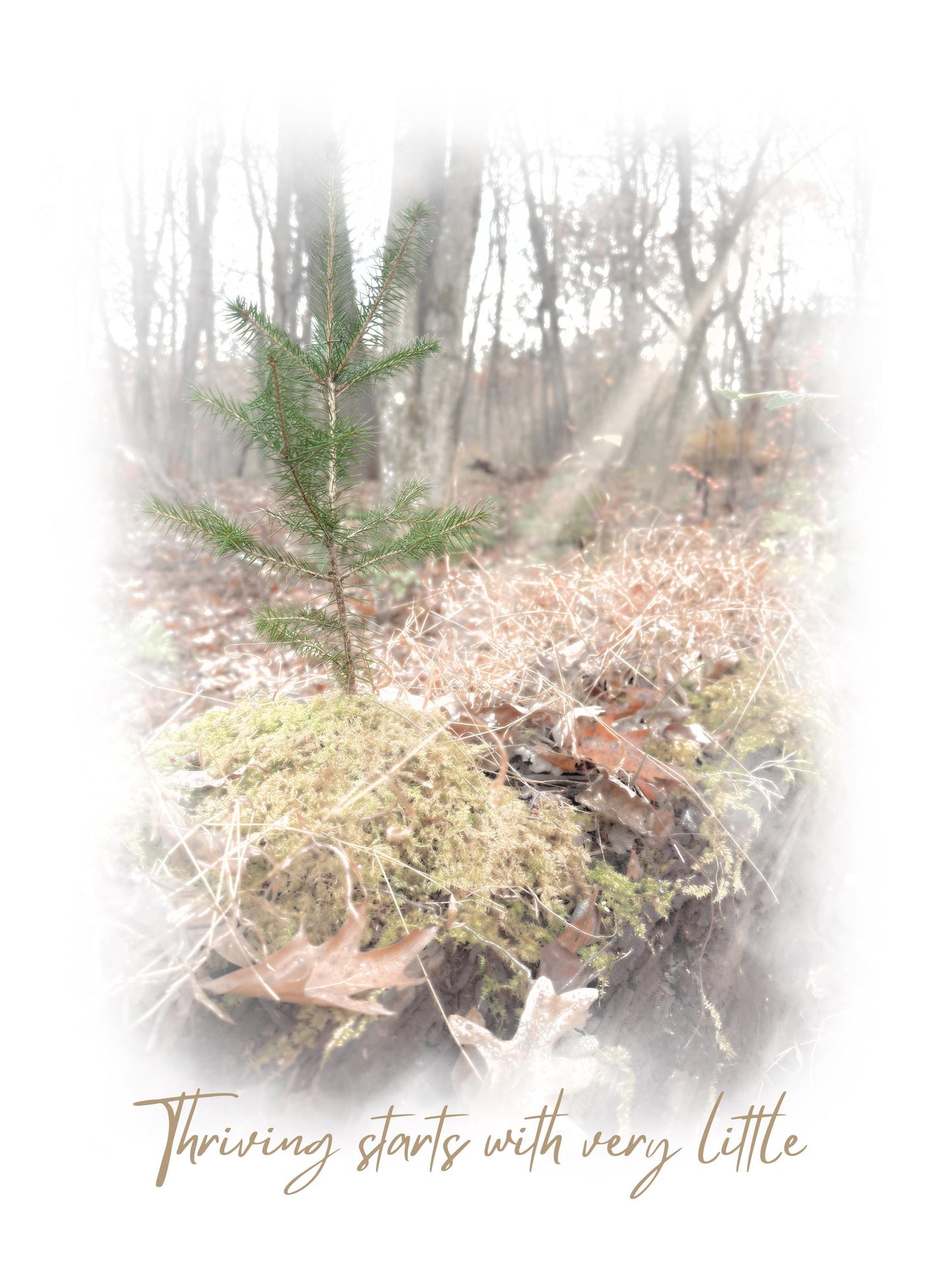 Thriving Starts with Little Digital Download Art Poster, Nature inspired inspirational printable wall art