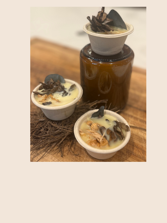 Easy DIY All-Natural Fire Starters for Indoors & Outdoors (Egg Carton + Wax Tutorial)