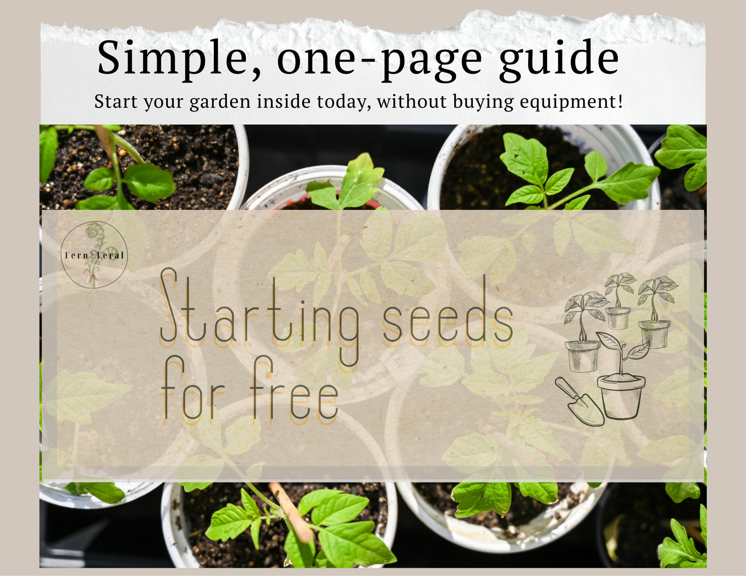 Start Seeds For Free - Digital Guide