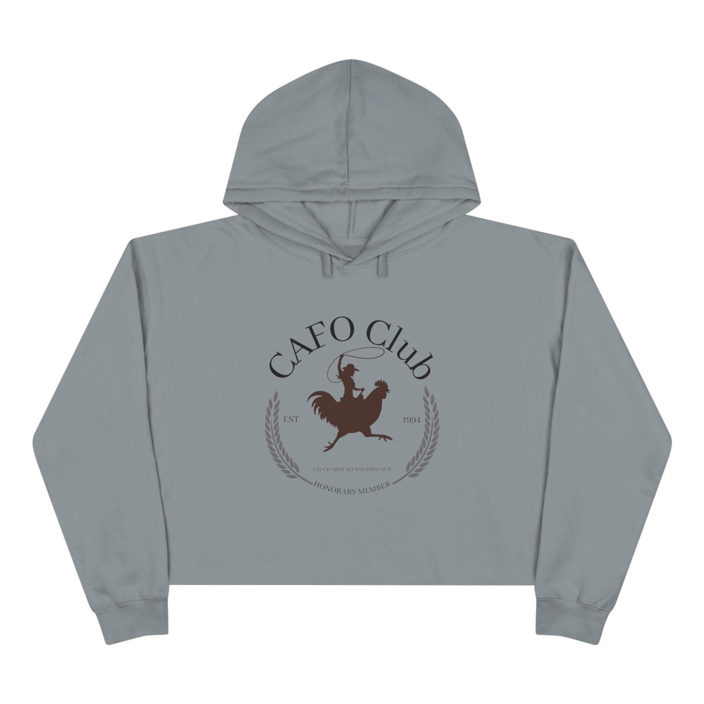 Cluck Around and Find Out Crop Hoodie, Chicken Graphic Sweatshirt, Funny Club Pullover, Hen Lover Hoodie, Animal Quote Jumper, Poultry