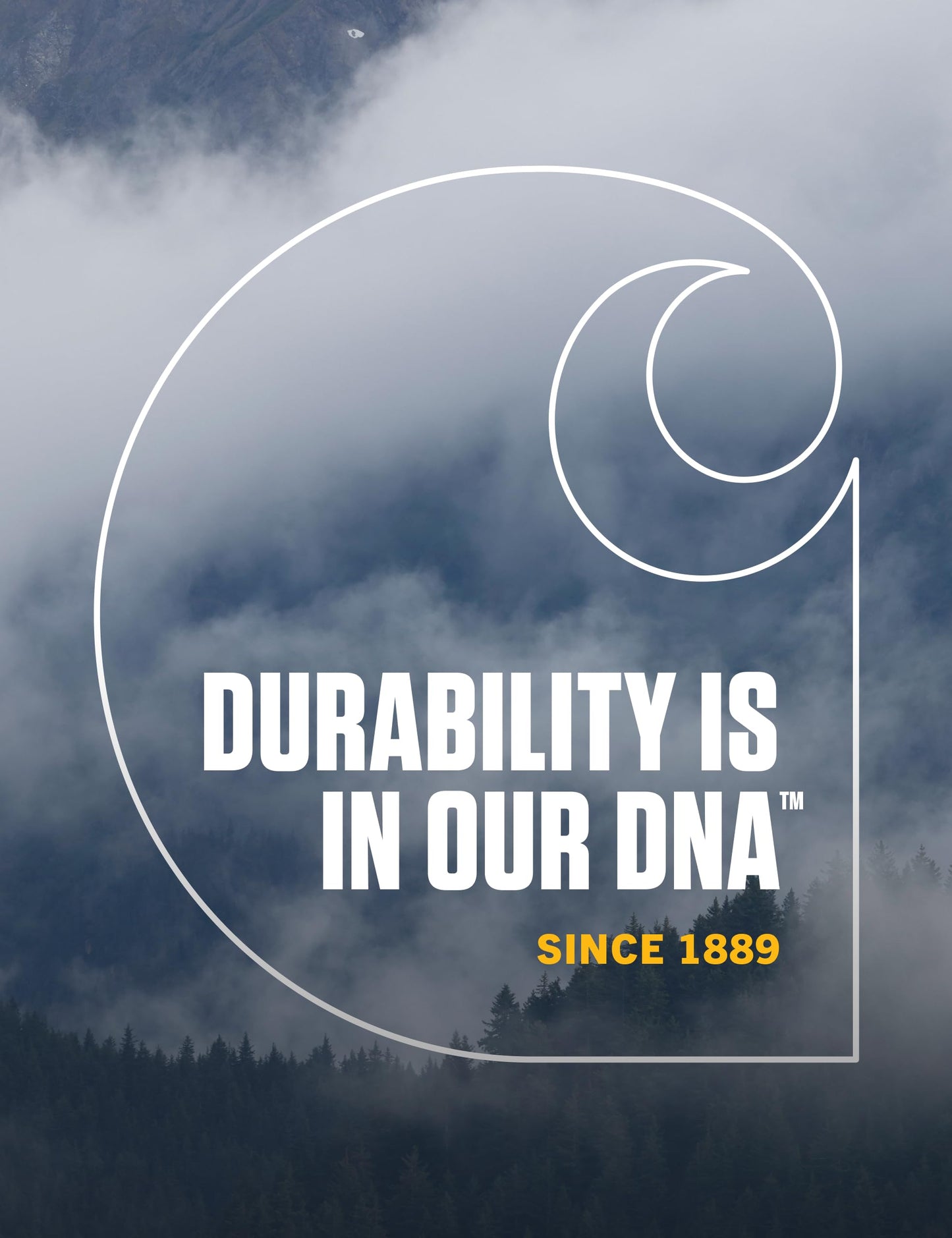 Carhartt Men's Knit Cuffed Beanie