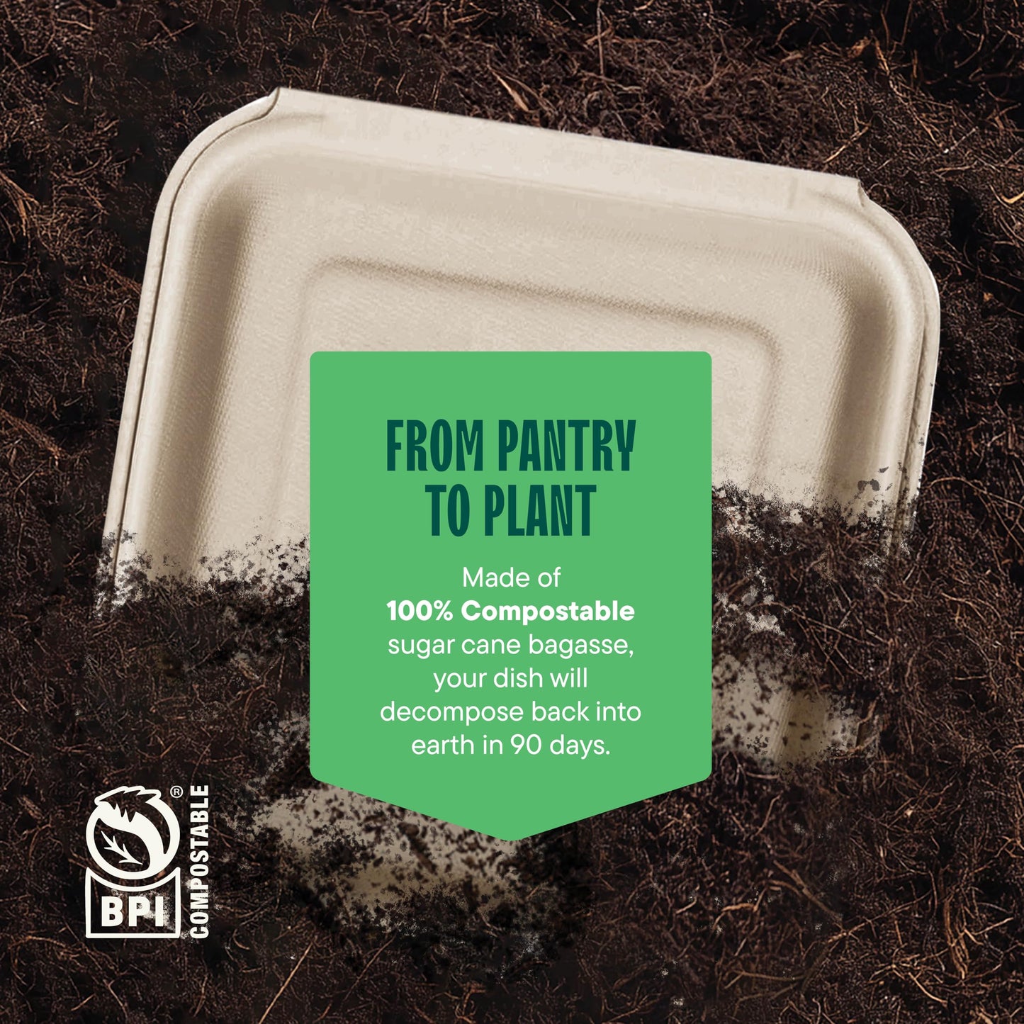 100% Compostable Clamshell Take Out Food Containers [8X8" 3-Compartment 50-Pack] Heavy-Duty Quality to go Containers, Natural Disposable Bagasse, Eco-Friendly Biodegradable Made of Sugar Cane Fibers